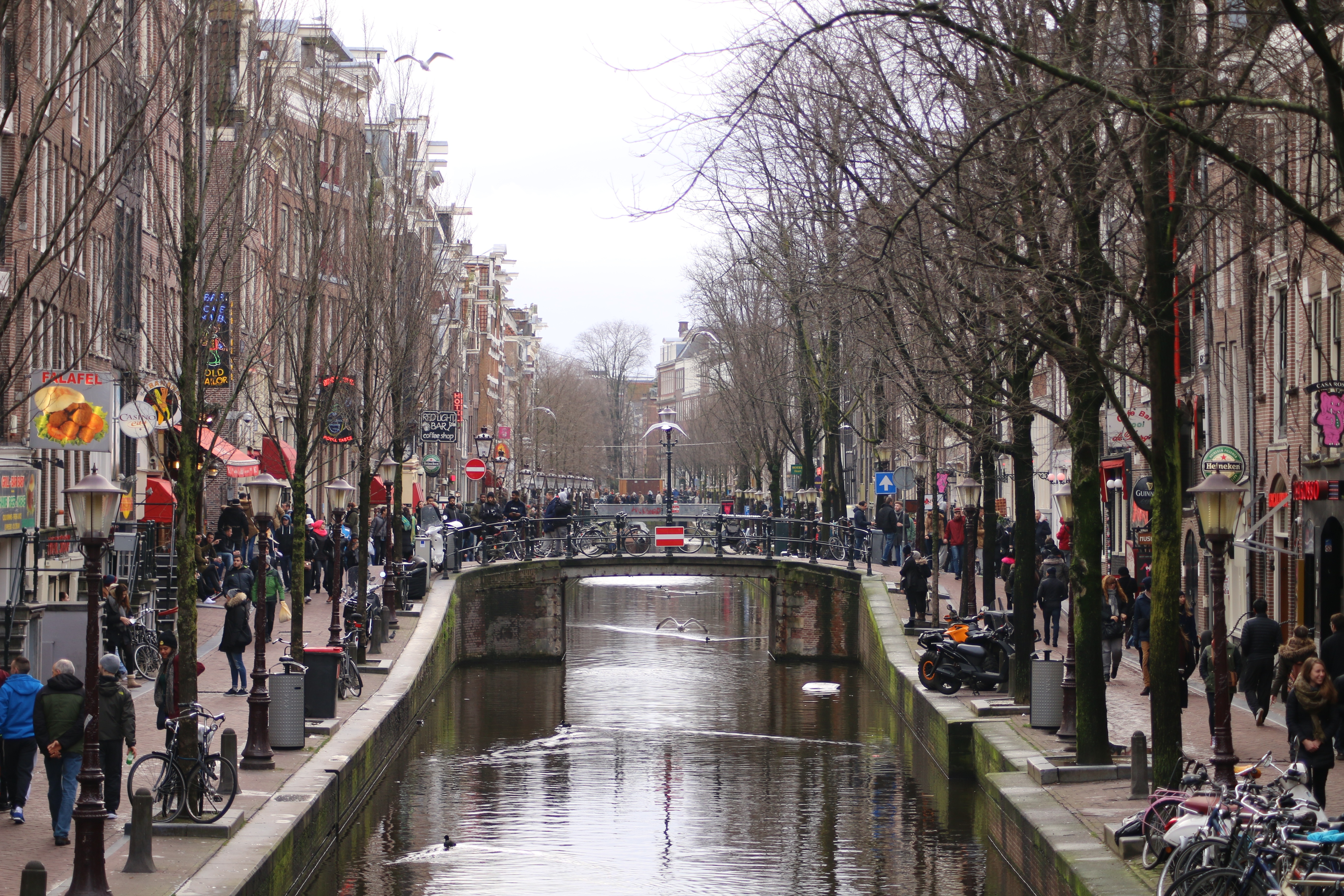 Amsterdam street pic