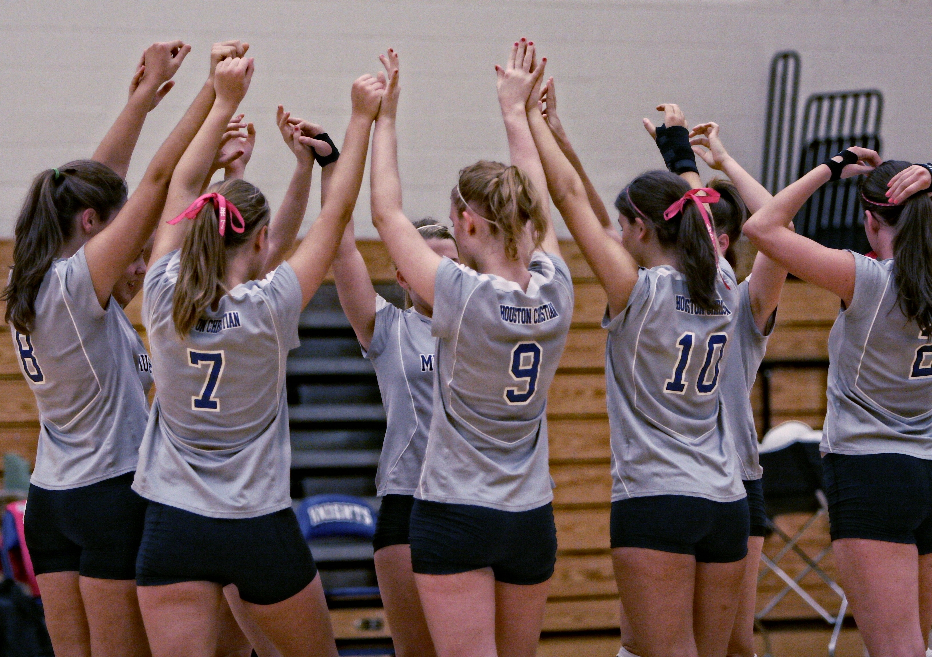 Bully classmate volleyball image