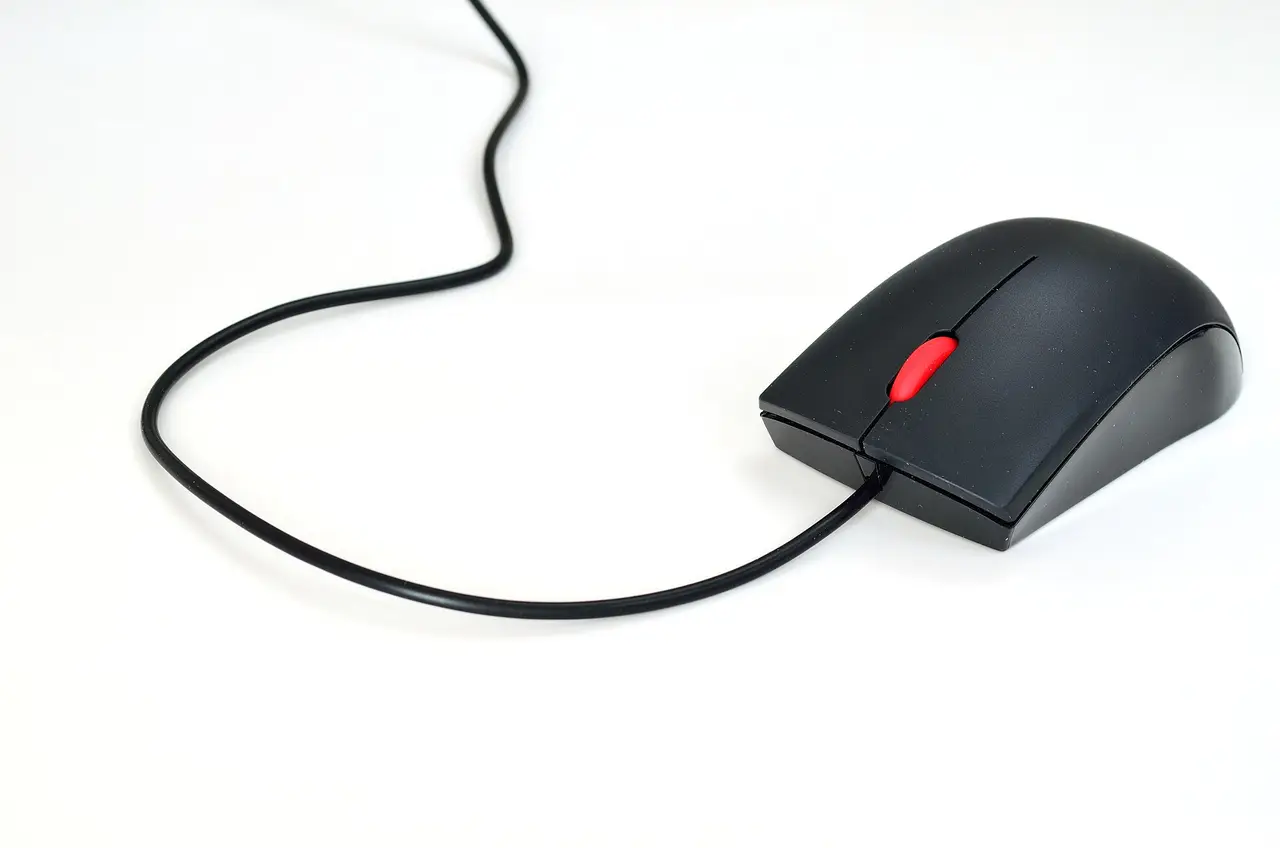 A black wired computer mouse with a red scroll wheel