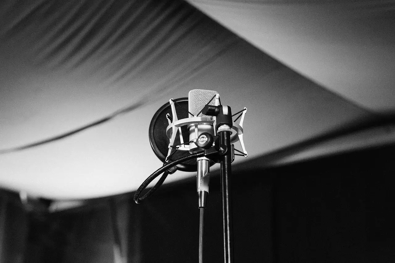 Black and white studio microphone inside a pop shield