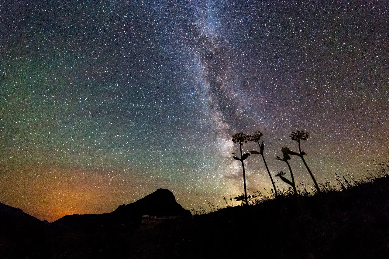 Milky Way arching over dark flower stalks and a hill