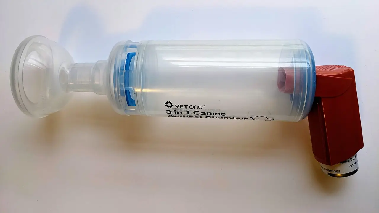 A clear plastic spacer chamber with a mask at one end and a red inhaler at the other
