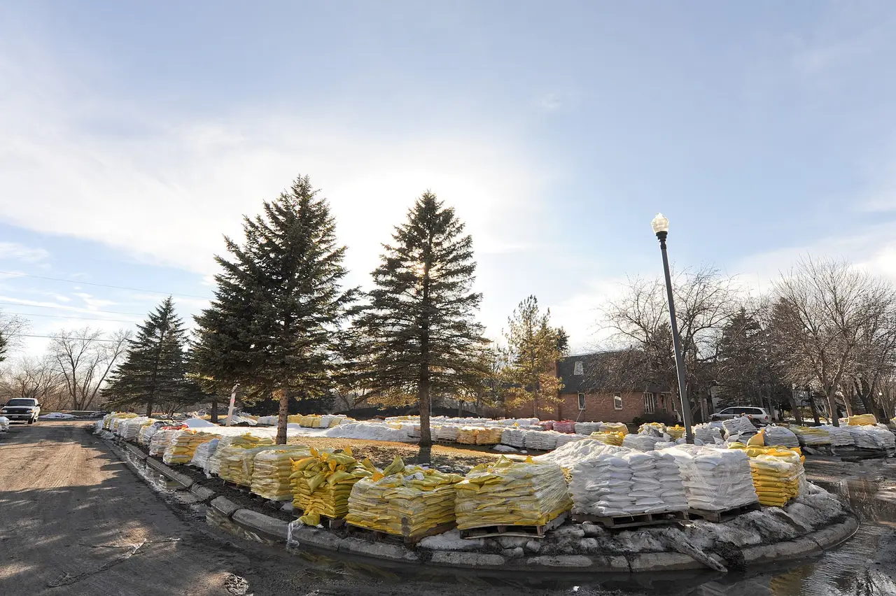 A low curved wall of stacked sandbags in front of tall evergreen trees