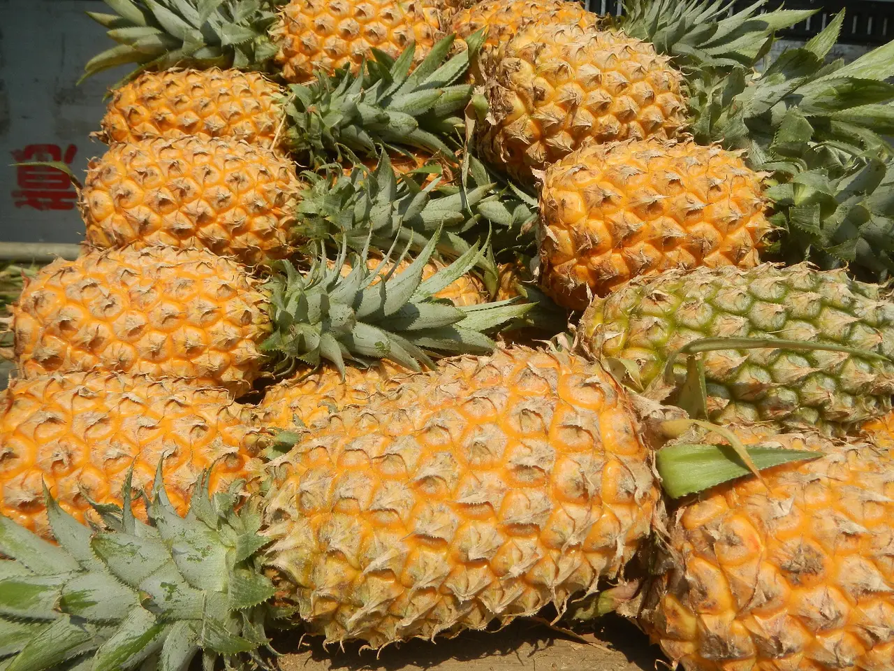 A pile of ripe pineapples with green crowns at a market