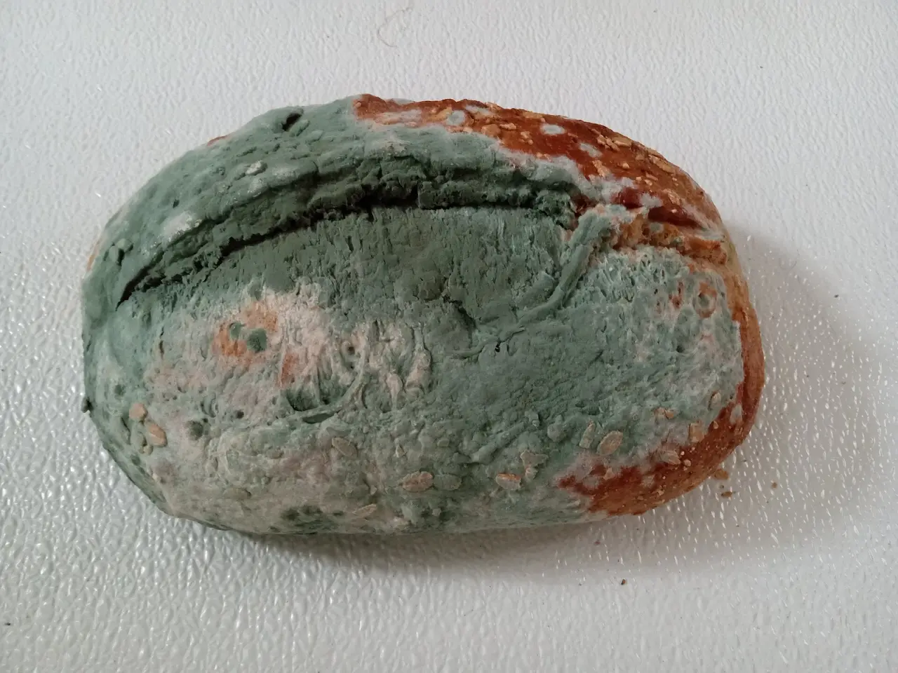 A bread loaf thickly covered in green and white mould