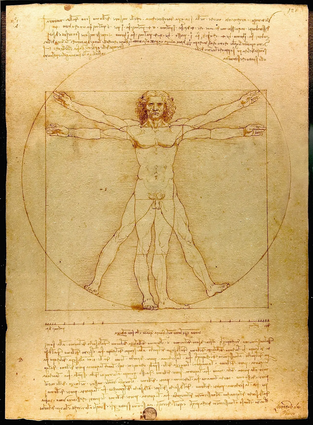 Leonardo da Vinci's Vitruvian Man drawing of a figure inside a circle and a square