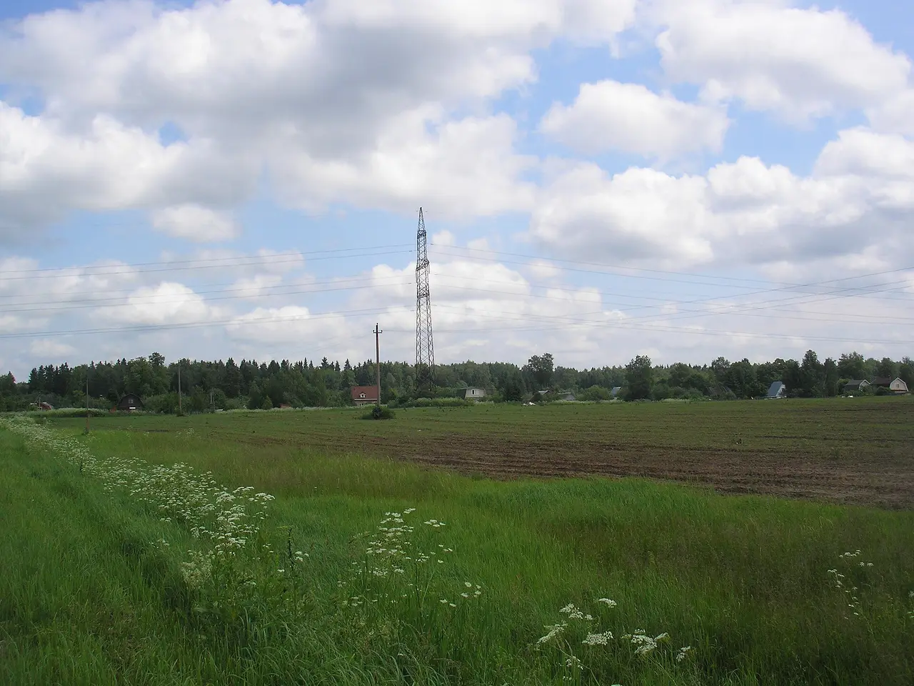 A green field under cloudy sky with a power pylon and trees