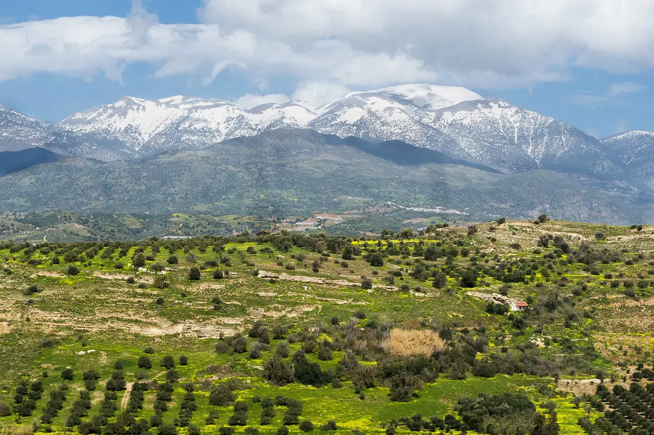 Snowy mountains above green fields and olive groves