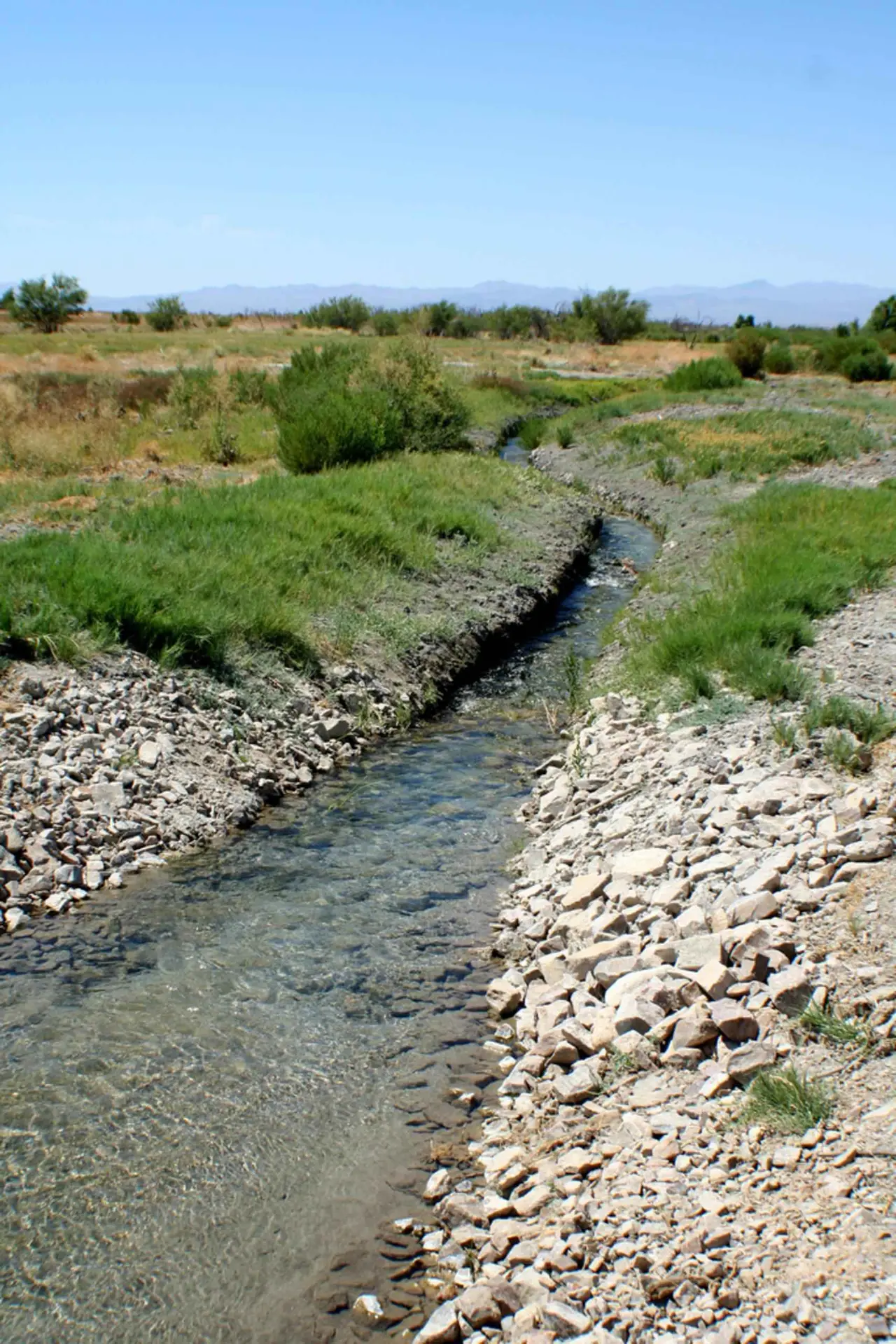 A narrow stream between grassy banks and pebbles