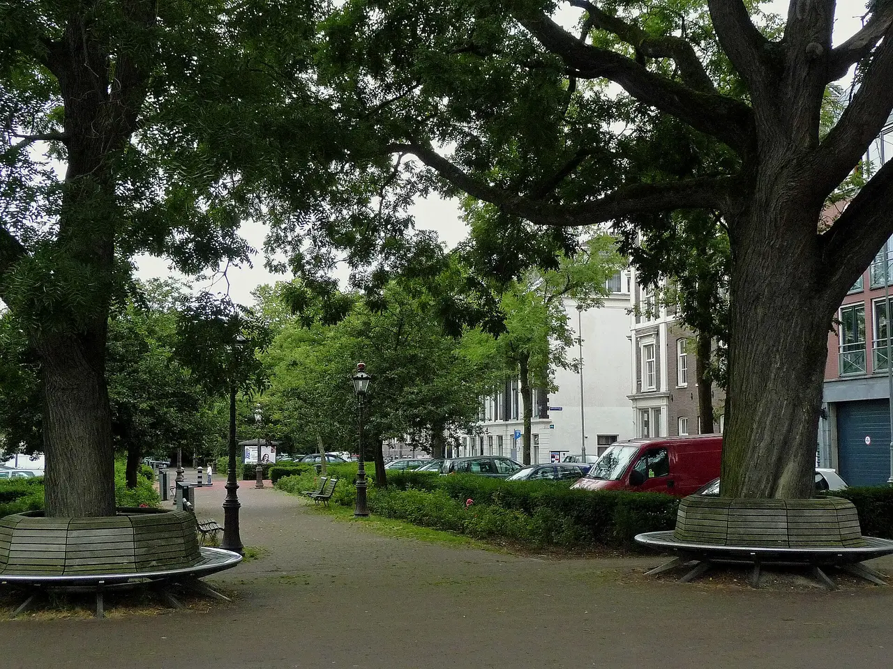 A shaded path under large trees with benches around the trunks
