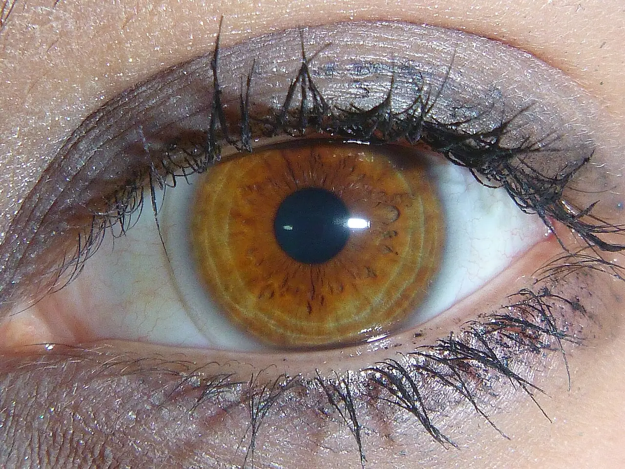 A close-up of a light brown eye with long eyelashes