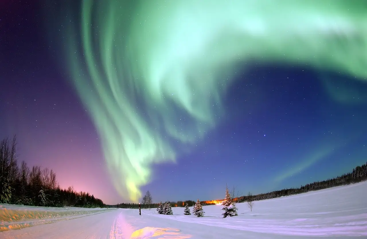 Green bands of aurora over a snowy road and dark trees