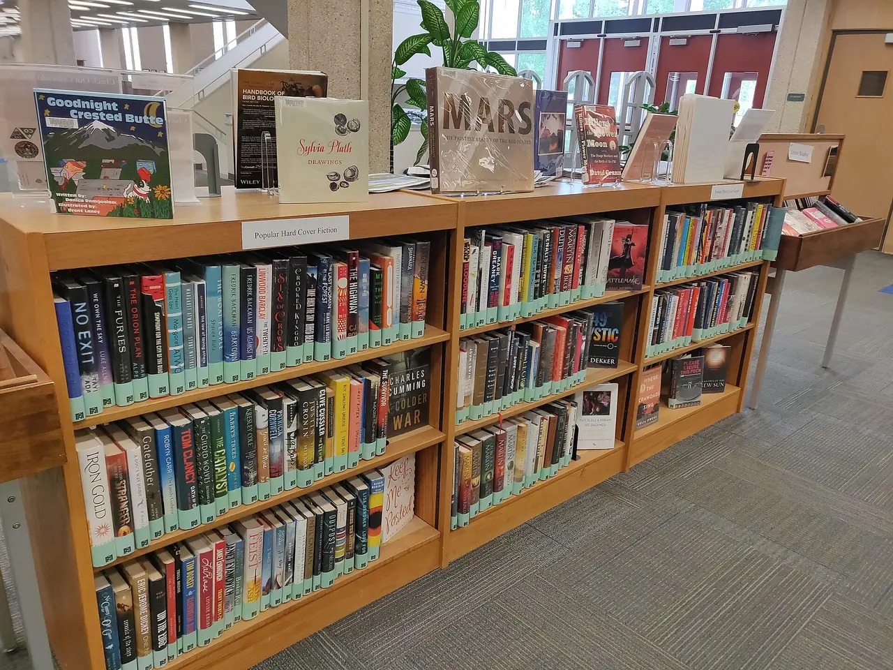 A low library shelf filled with books with coloured labels