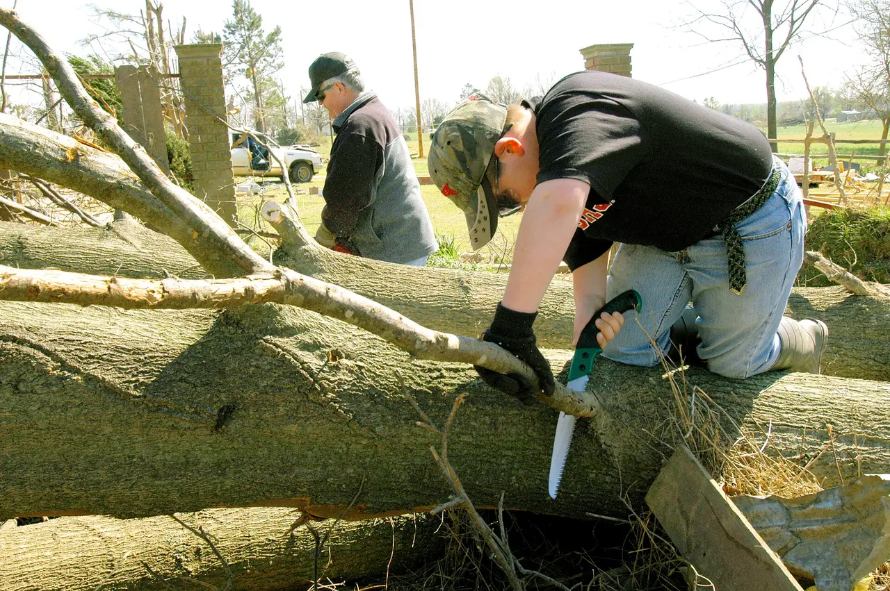 A man kneeling on a fallen tree trunk sawing with a hand saw