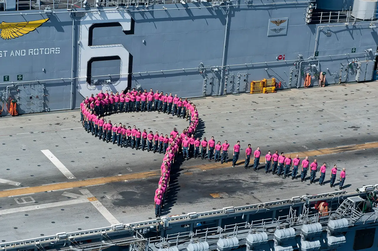 Aerial view of sailors in pink forming a ribbon shape on a ship deck