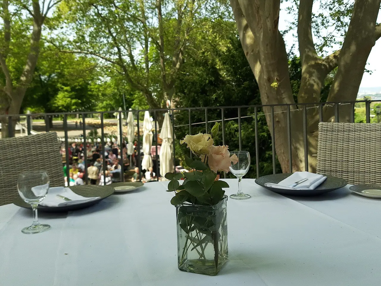 A laid lunch table with a flower vase under trees
