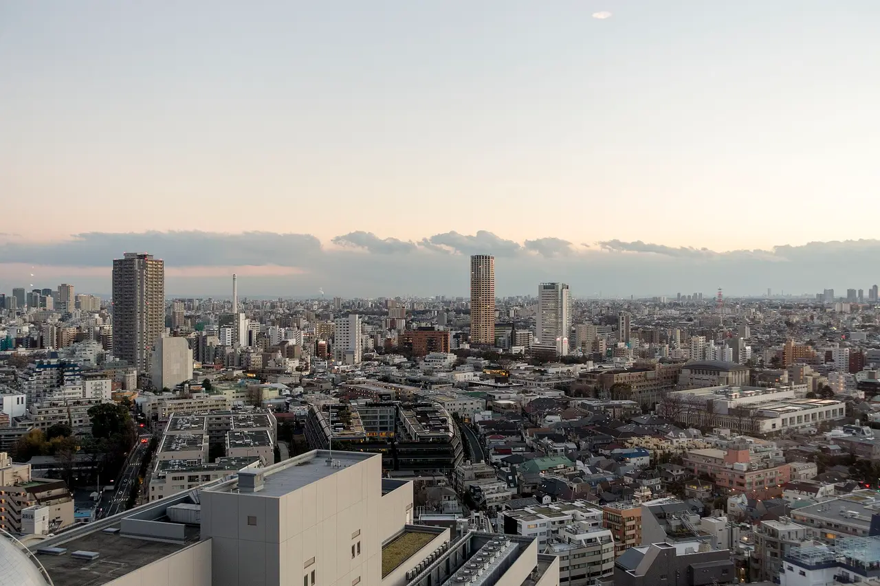 A wide view over Tokyo's rooftops with towers on the horizon