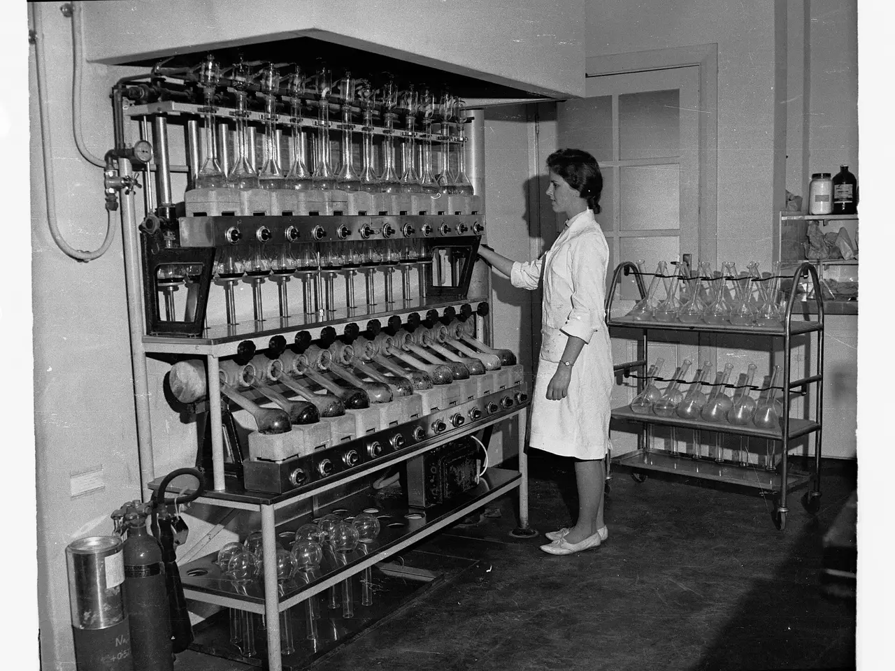 A woman beside tall racks of laboratory flasks in black and white