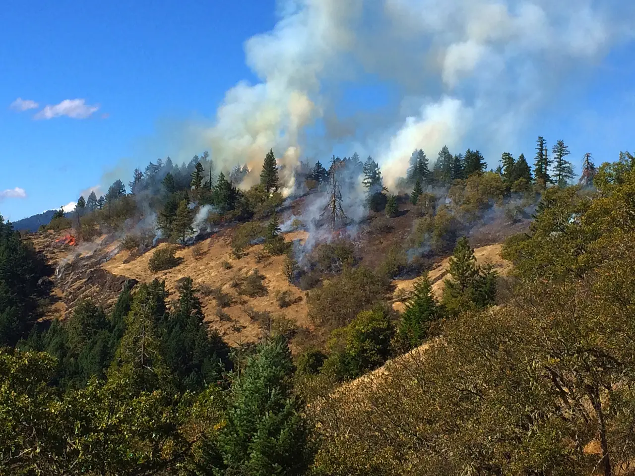 Smoke rising from a controlled burn on a forested hillside