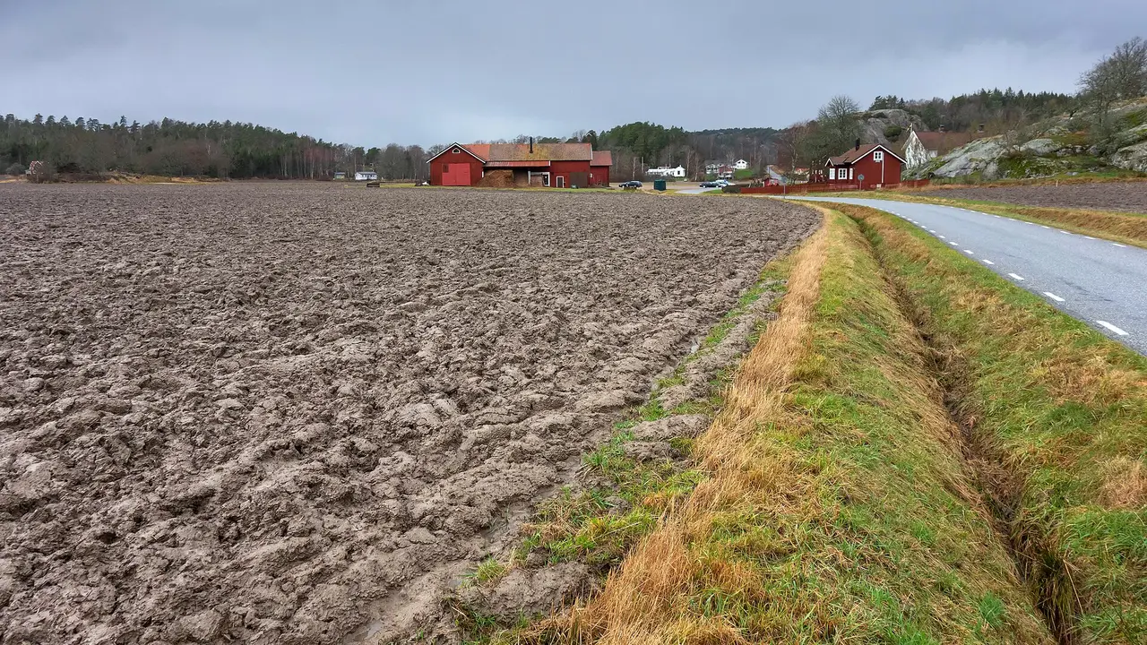 A ploughed field beside a road with red farm buildings