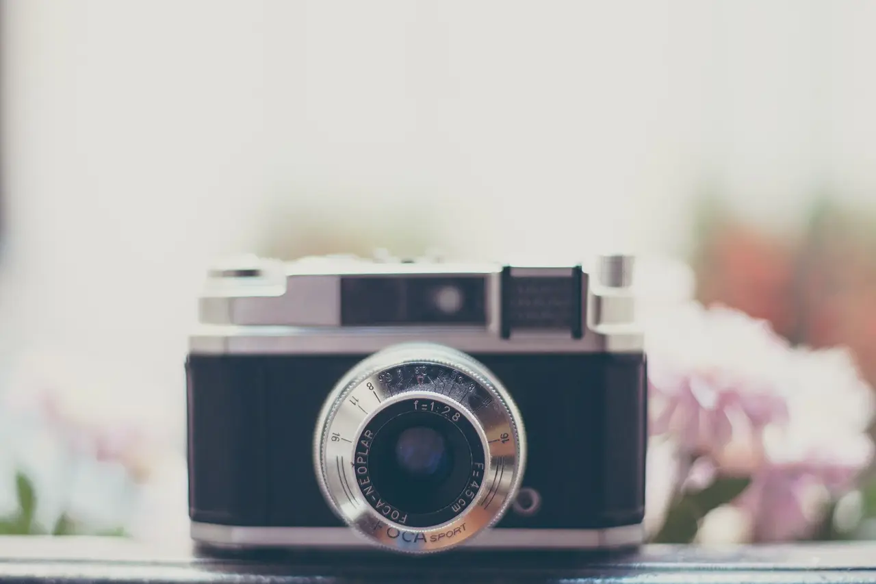 A vintage film camera in front of pink flowers