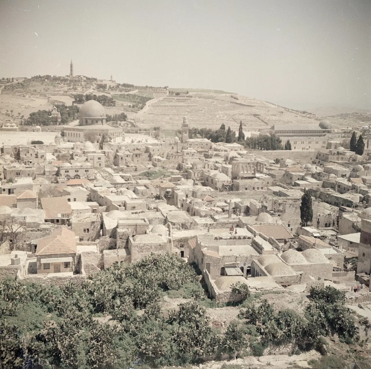 Rooftops of Jerusalem's Old City with a dome and a hill beyond