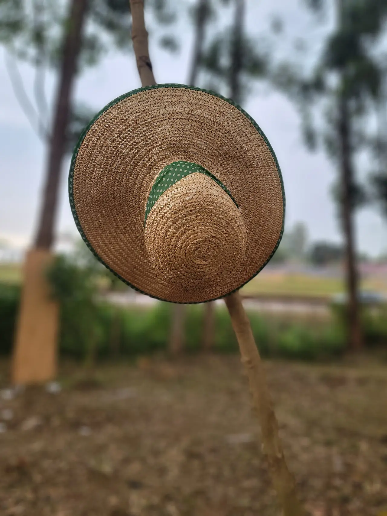 A woven straw sun hat hanging on a stick outdoors