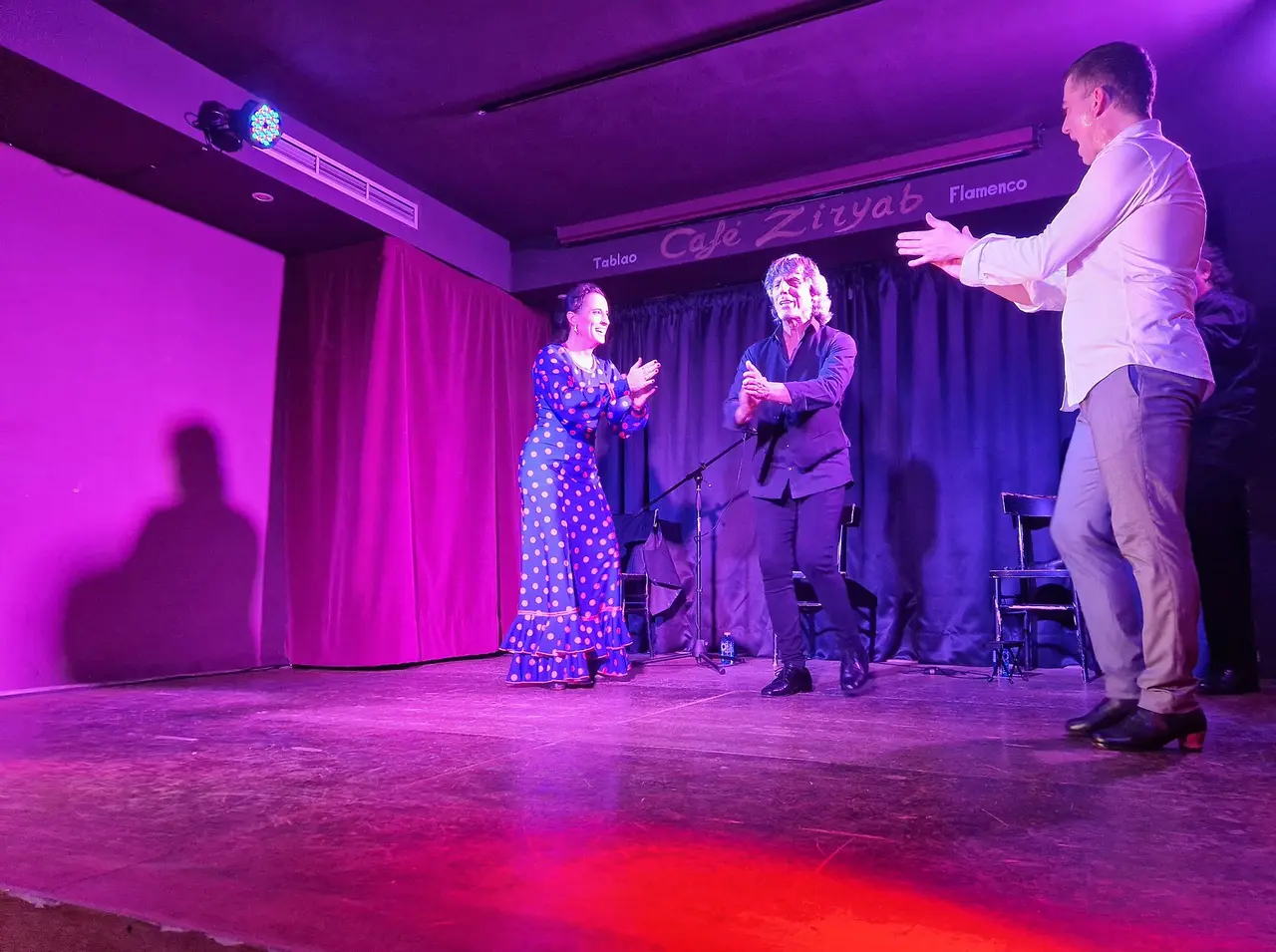 Flamenco performers on a stage lit in purple