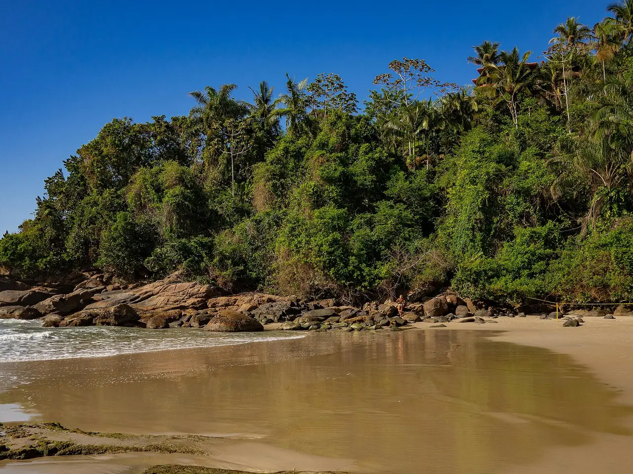 A quiet beach edged with palm trees and rocks