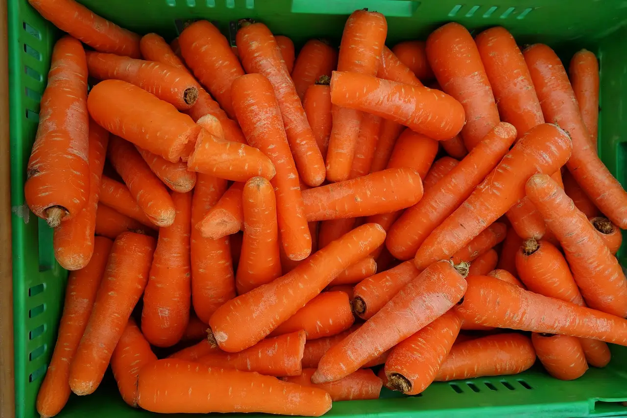 A green crate piled high with orange carrots on a market stall