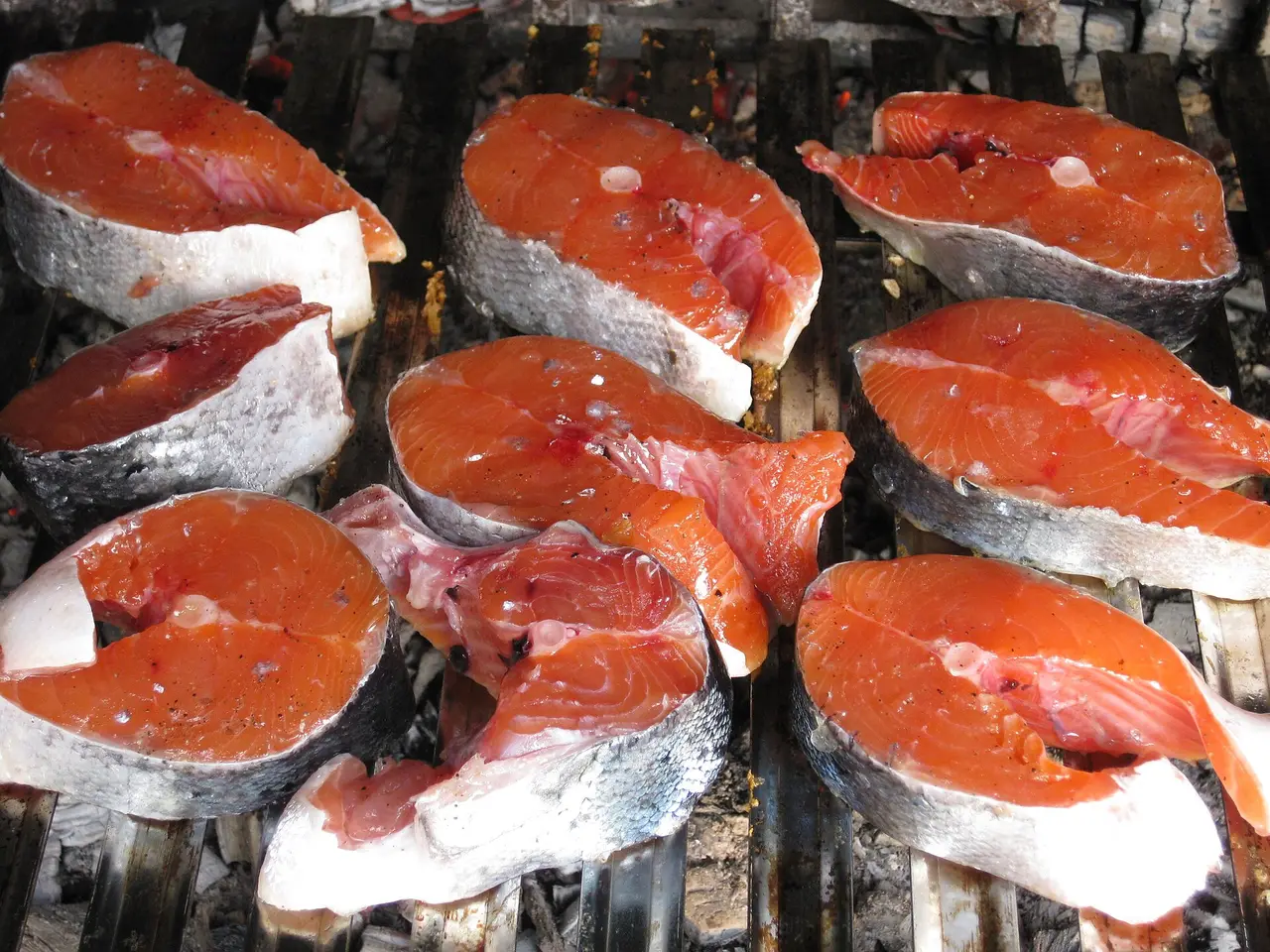 Orange raw salmon steaks arranged on a grill