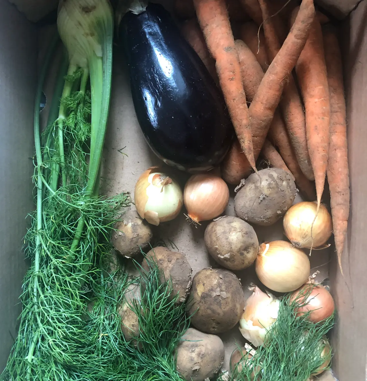 Carrots, onions, potatoes, an aubergine and fennel in a box