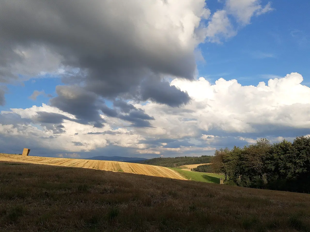 Dark storm clouds over a stubble field and trees