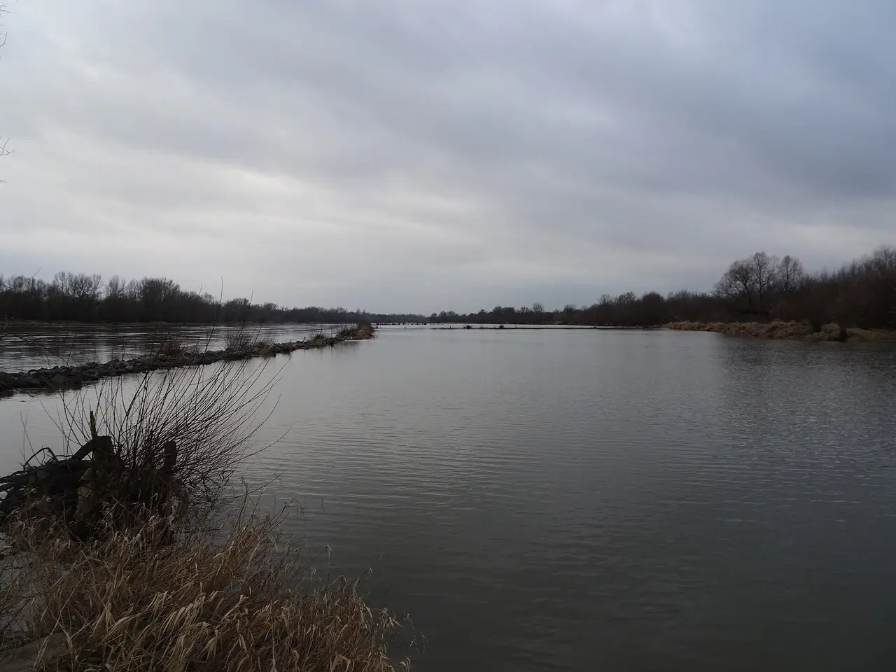 A wide river under grey sky with reeds in the foreground