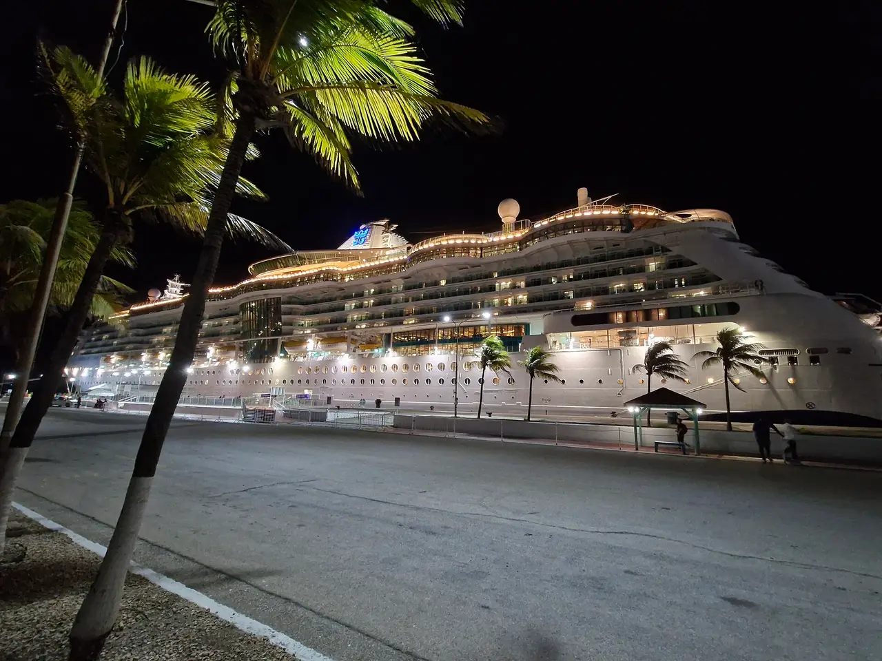 A lit cruise ship moored at night behind palm trees