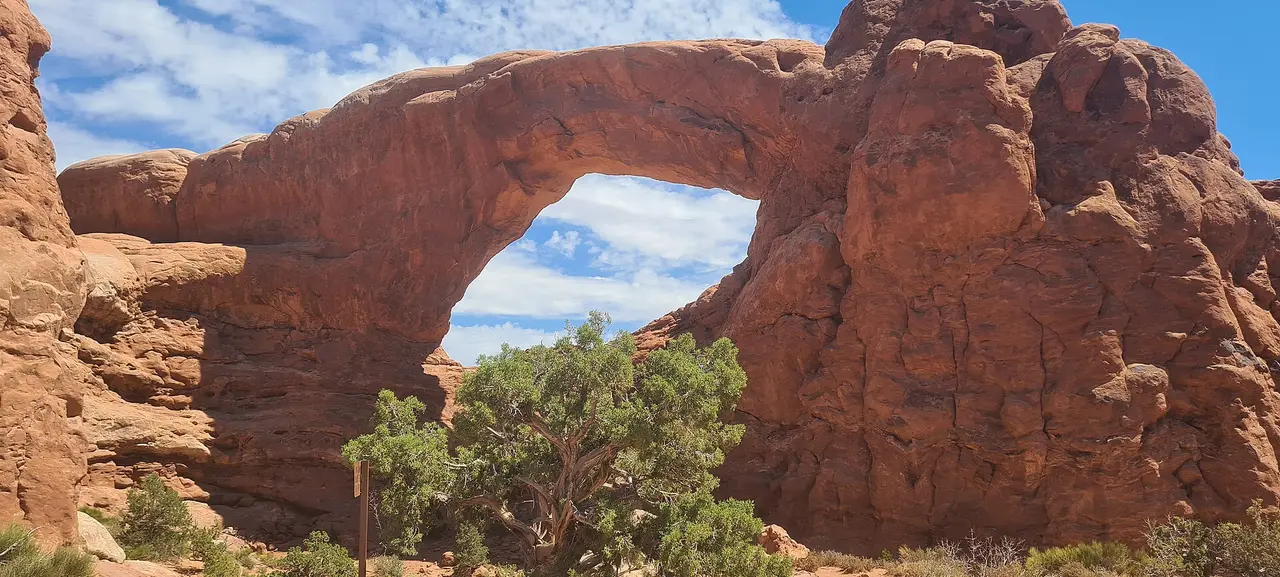 A red sandstone arch framing blue sky, with green trees below