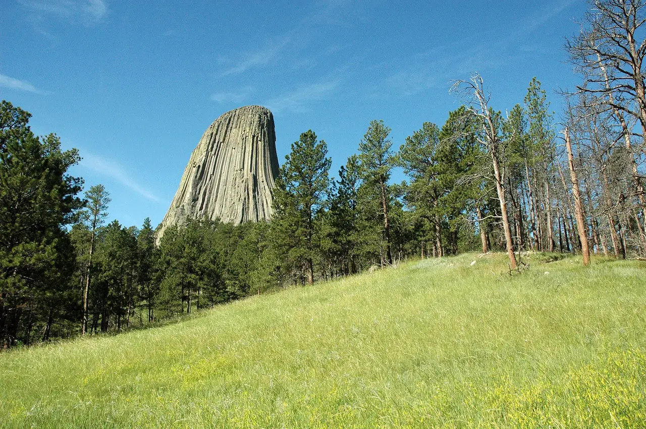 Pine trees and green meadow below a tall rock tower