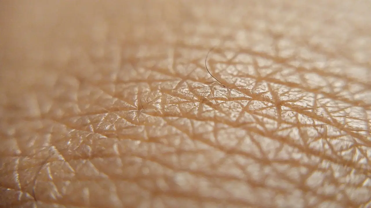 Macro view of the creased surface of human skin