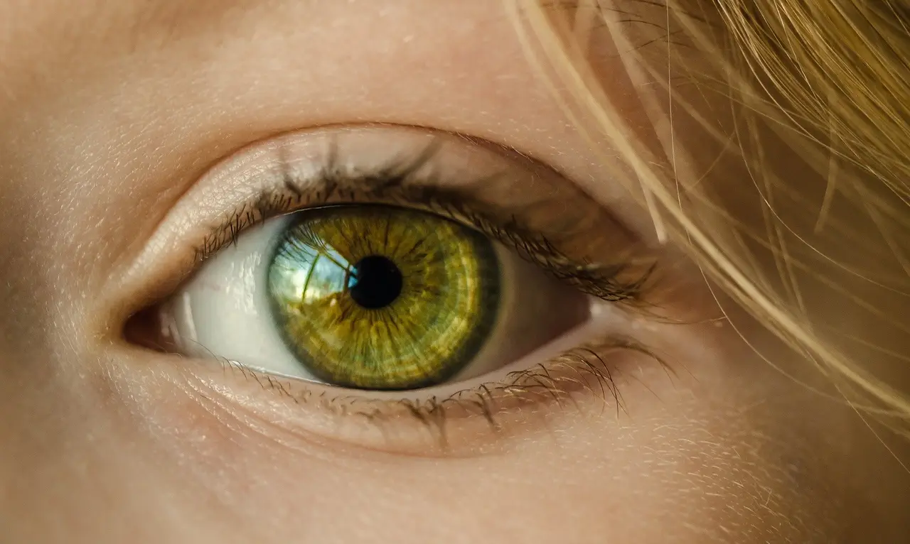 A close-up of a green eye with long eyelashes