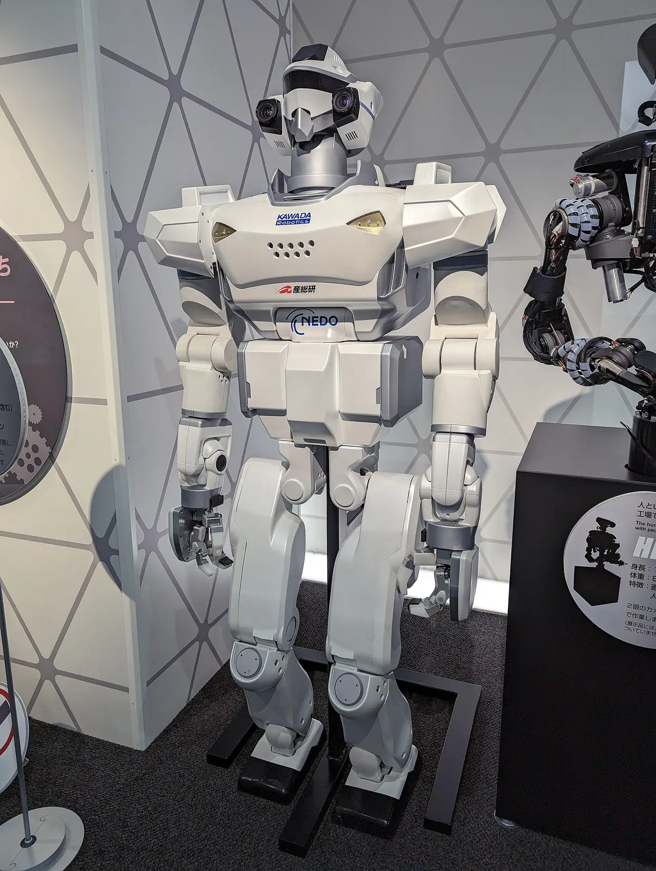 White humanoid robot standing on a display stand