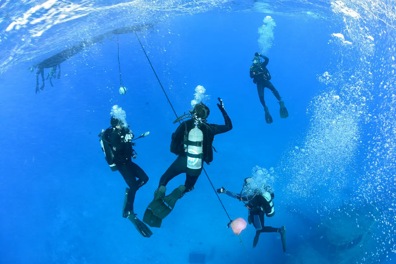 Four scuba divers swimming down through bright blue water