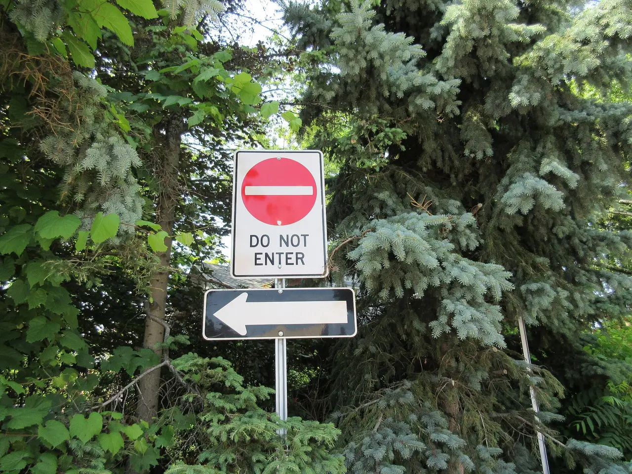 A red Do Not Enter sign above a left arrow among trees