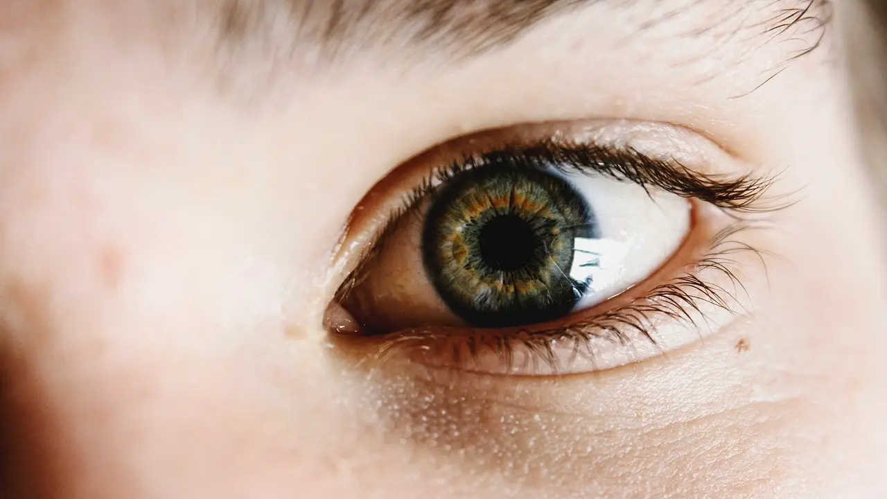 A close-up of an open human eye with a green-grey iris