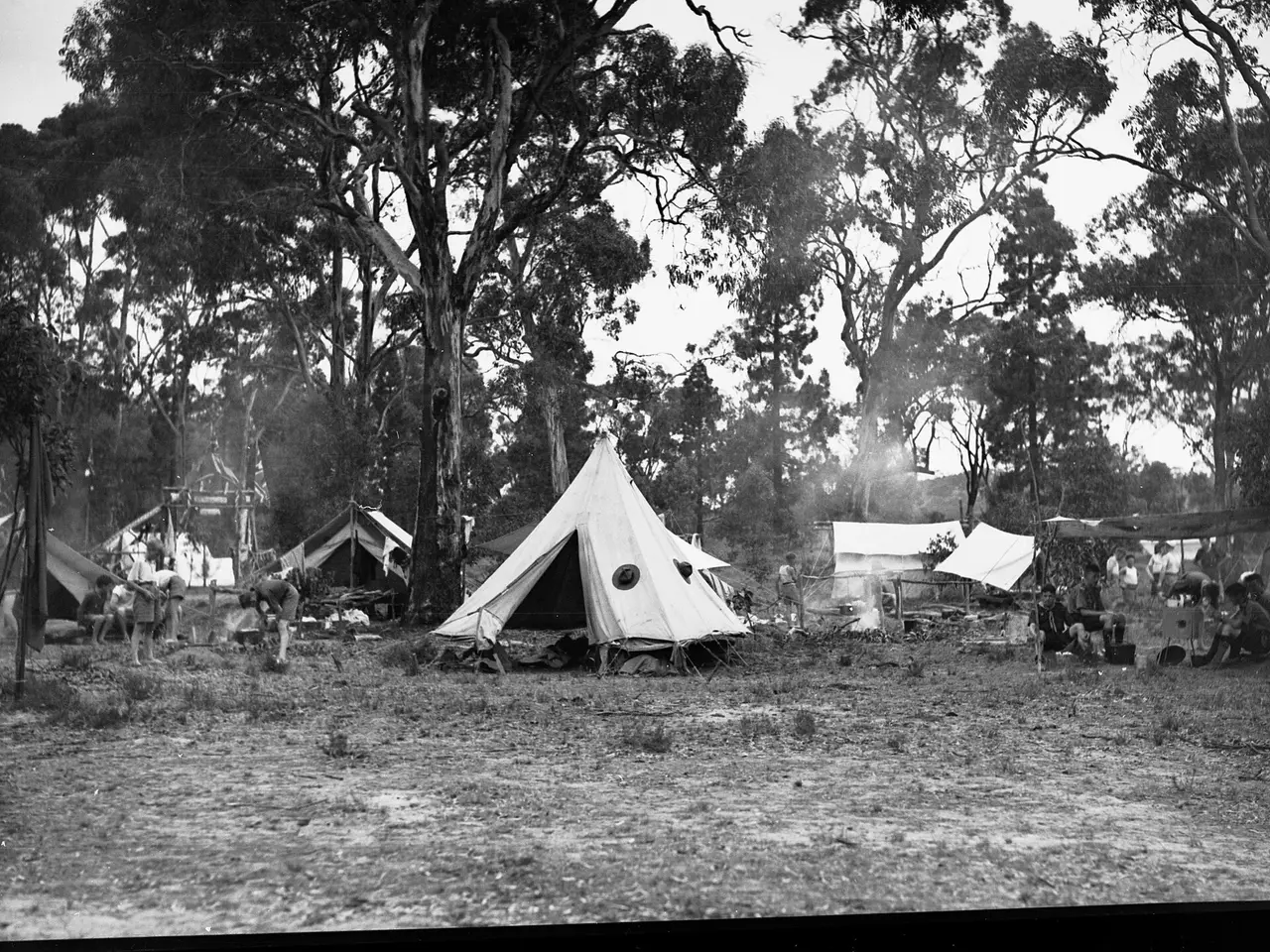Black and white photograph of tents among trees at a camp