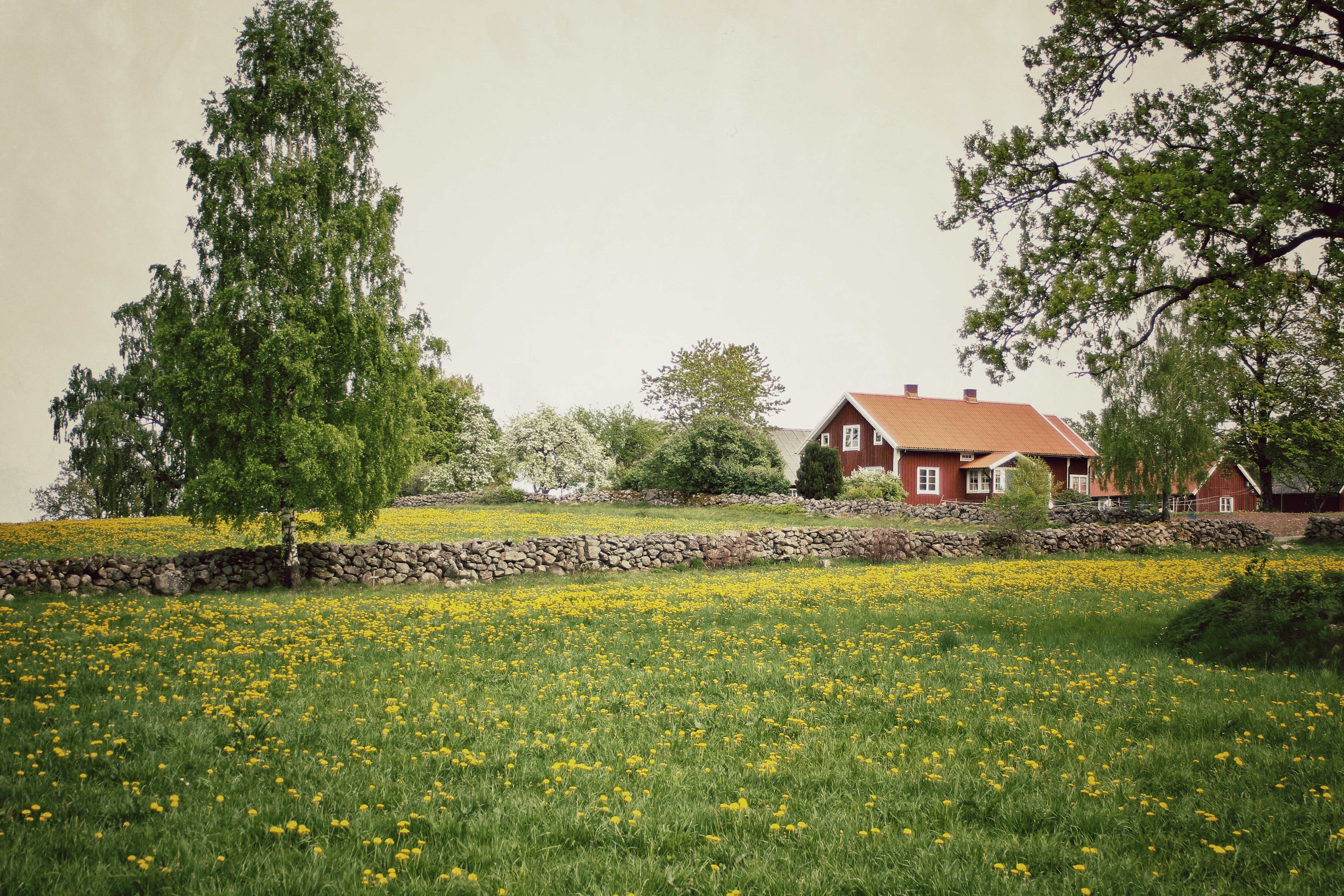 Поле возле деревни. Швеция деревня Луга. Швеция Поляна. Деревня Вестменхег Швеция. Деревни Швеции летом.