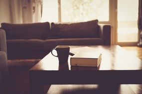 sofa and table in living room