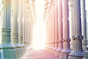 sunlight in beautiful columnar arcade