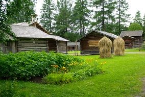 wooden buildings, haystacks and vegetable bed at farm, finland