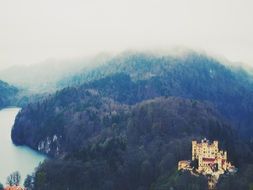 hohenschwangau castle, medieval fortress on forested mountain, germany, bavaria