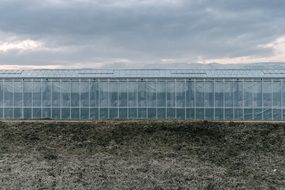 long glass greenhouse under cloudy sky